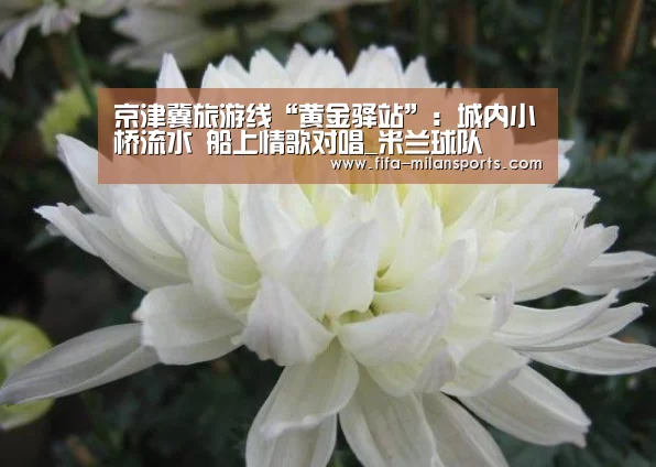 米兰体育新闻